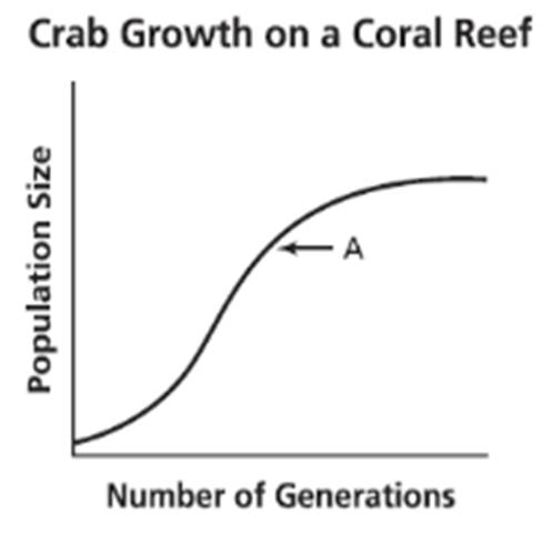 Bio 1 Warm-up Quiz #5 - Quiz